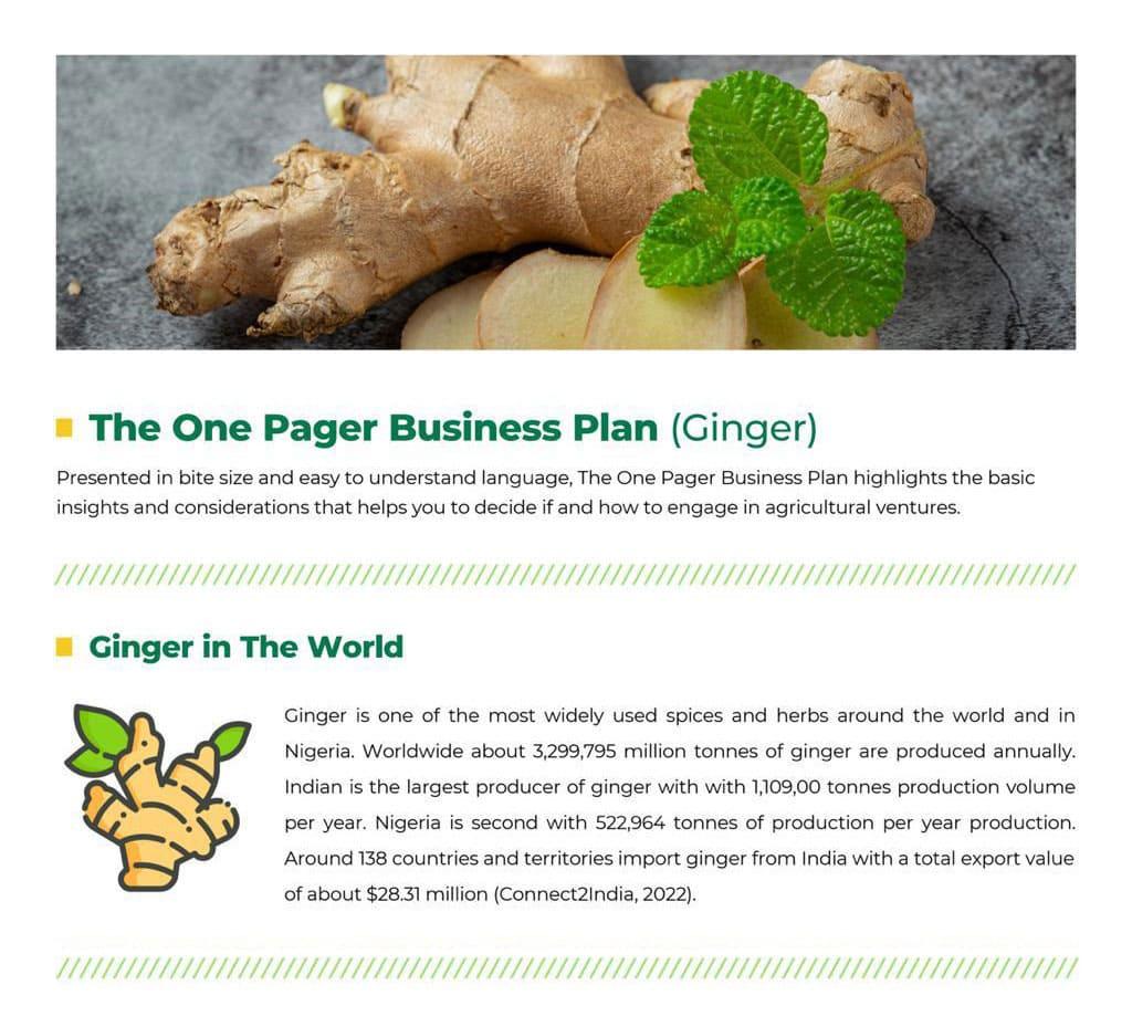 Ginger