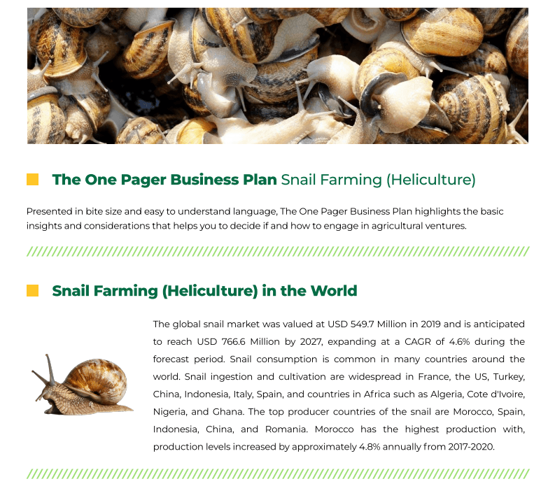 Snail